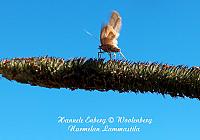 web_per_21f