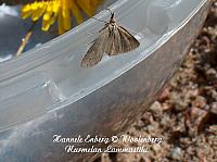web_per_23a