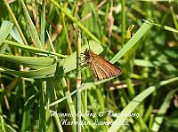 web_per_26a