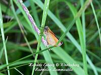 web_per_26b