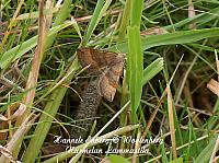 web_per_27