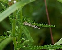 web_per_28